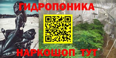 сатива Гай