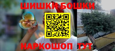 сатива Гай