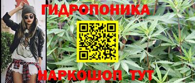 сатива Гай