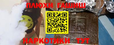 сатива Гай