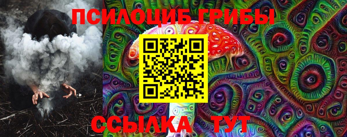Галлюциногенные грибы Psilocybine cubensis Заречный