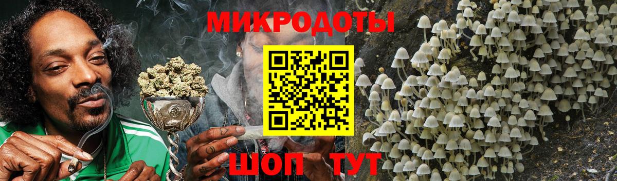 Галлюциногенные грибы Magic Shrooms  Вход с VPN  хочу наркоту  Заречный 
